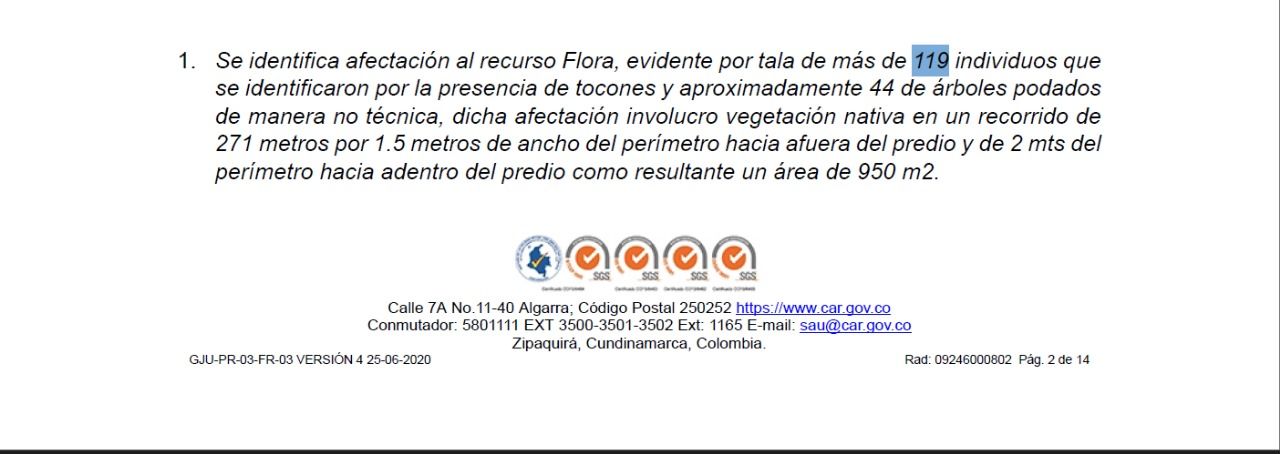 imagen_de_whatsapp_2025-06-01_a_las_12.38.25_bff0b04e.jpg