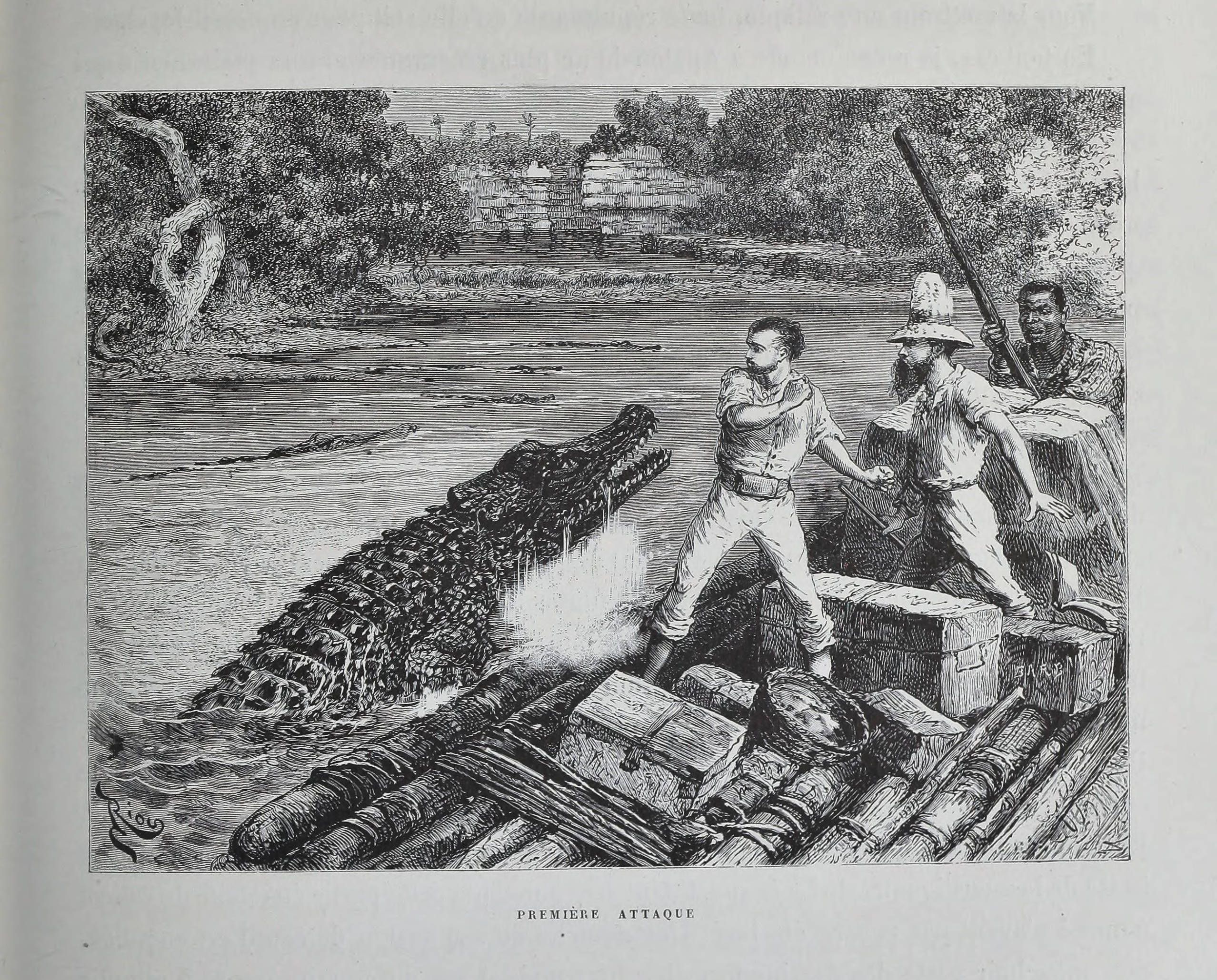 cocodrilo-llanero.jpg