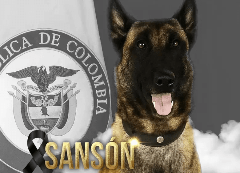 sanson_48338447_20250716160826.png