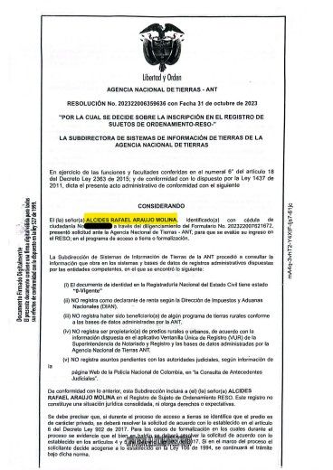 alices_araujo_molina.jpg