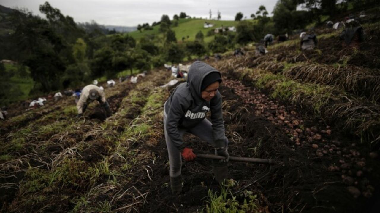 campo_en_colombia.jpg