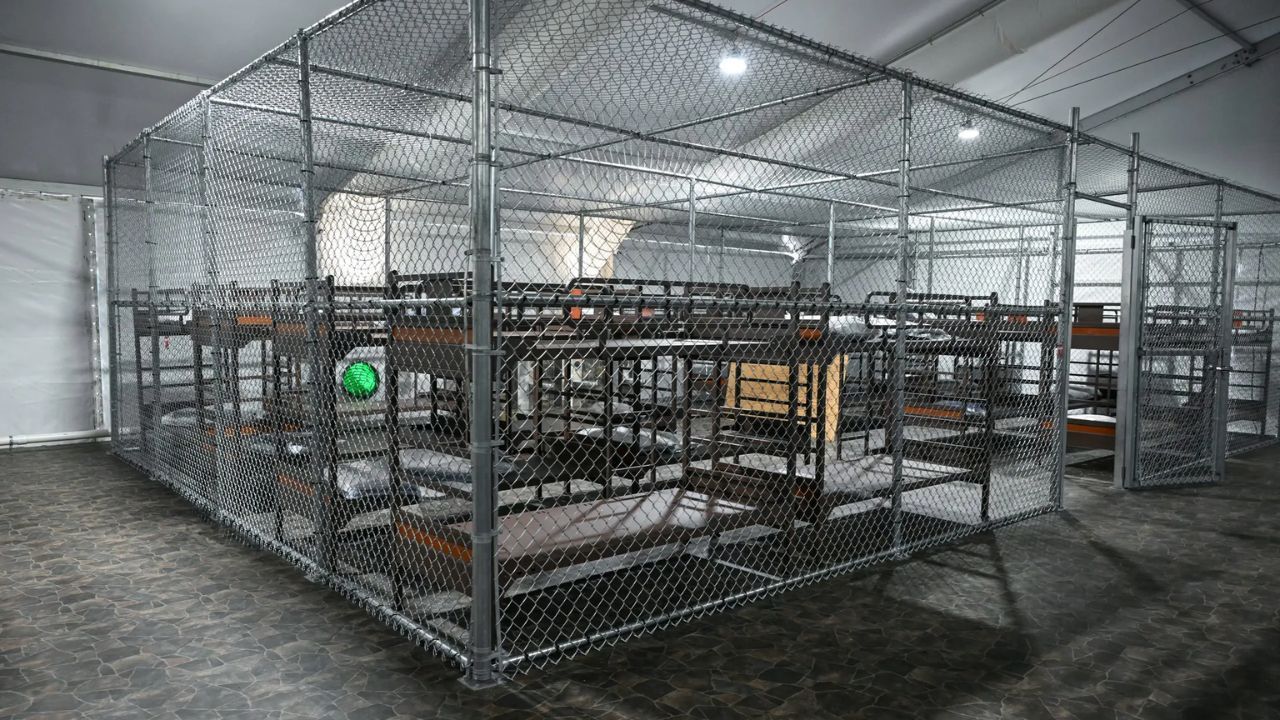 alligator_alcatraz.jpg