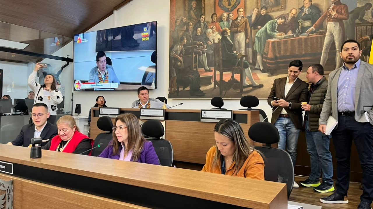 concejo-bogota_0.jpg