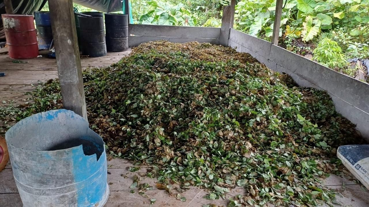 Hoja de Coca de los Comandos de Frontera