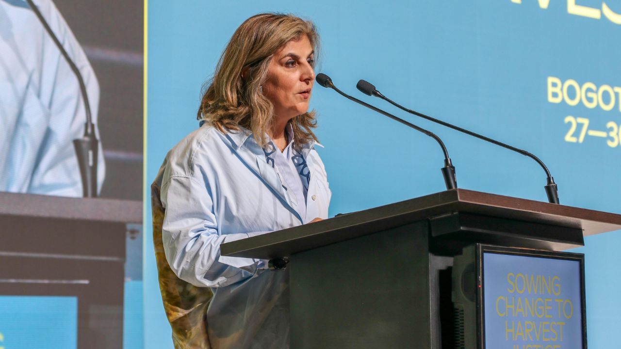 Diplomática Laura Gil