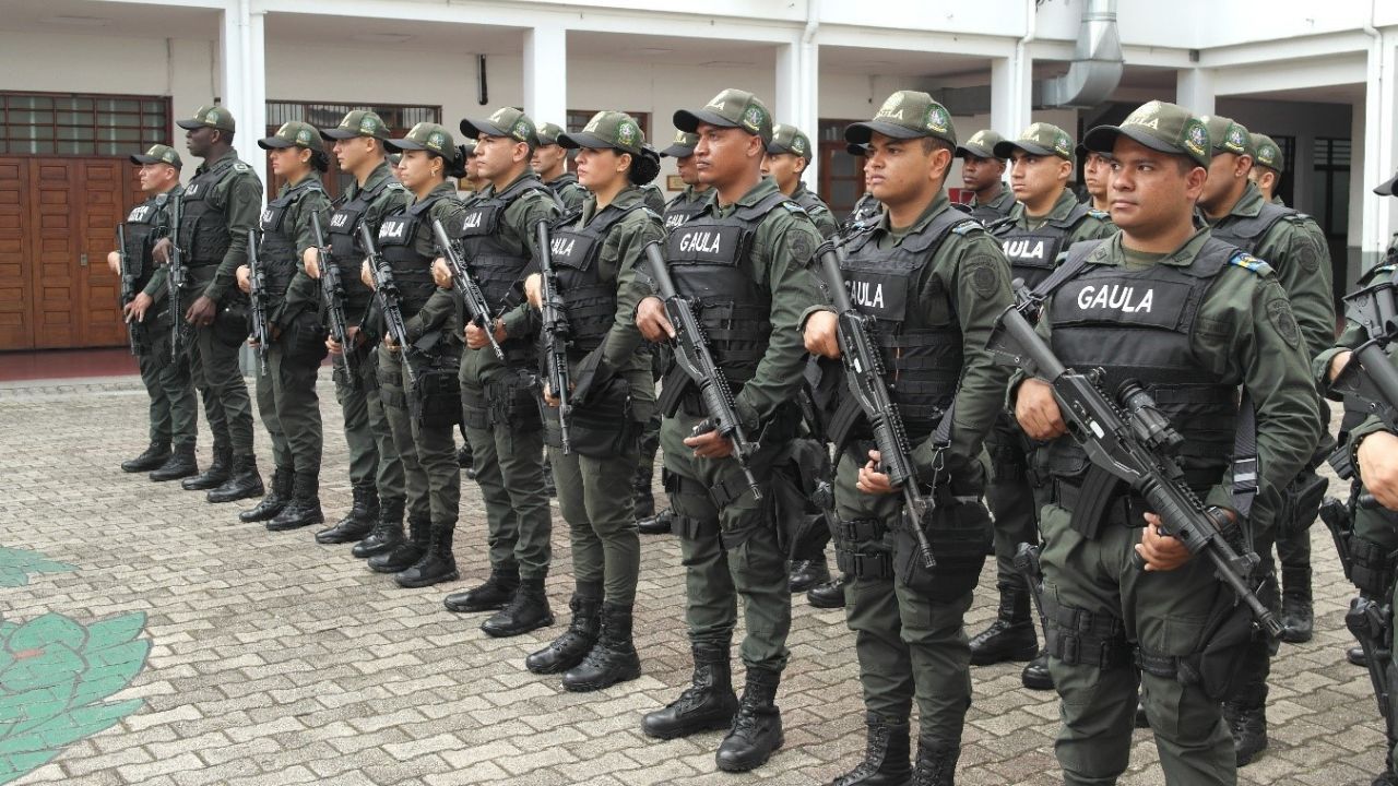 Gaula de la Policía