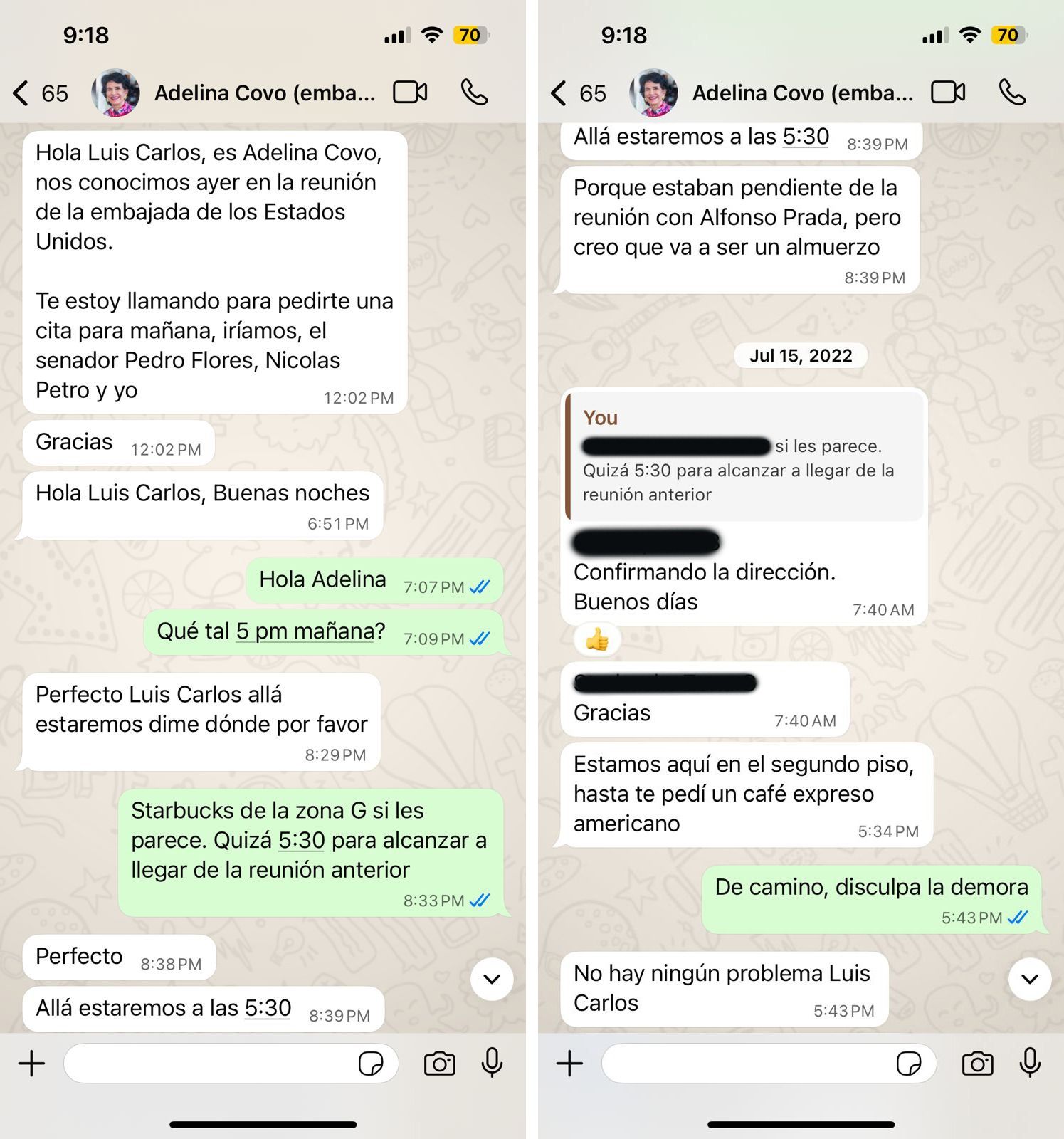 Chat entre Adelina Covo y Luis Carlos Reyes