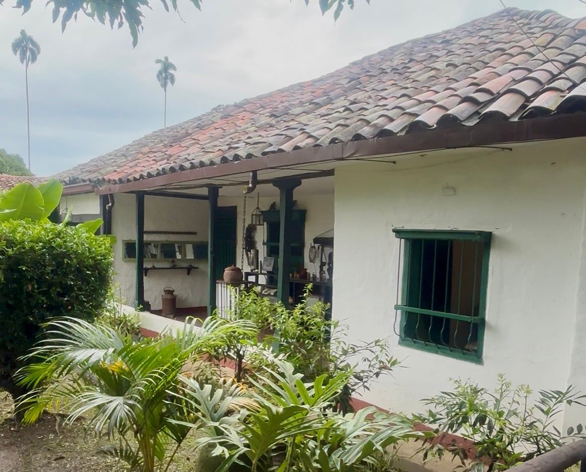 Finca El Paraíso, en Miranda, Cauca. Foto CAMBIO.