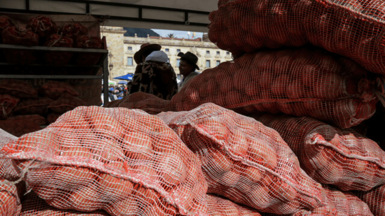 Alimentos 5