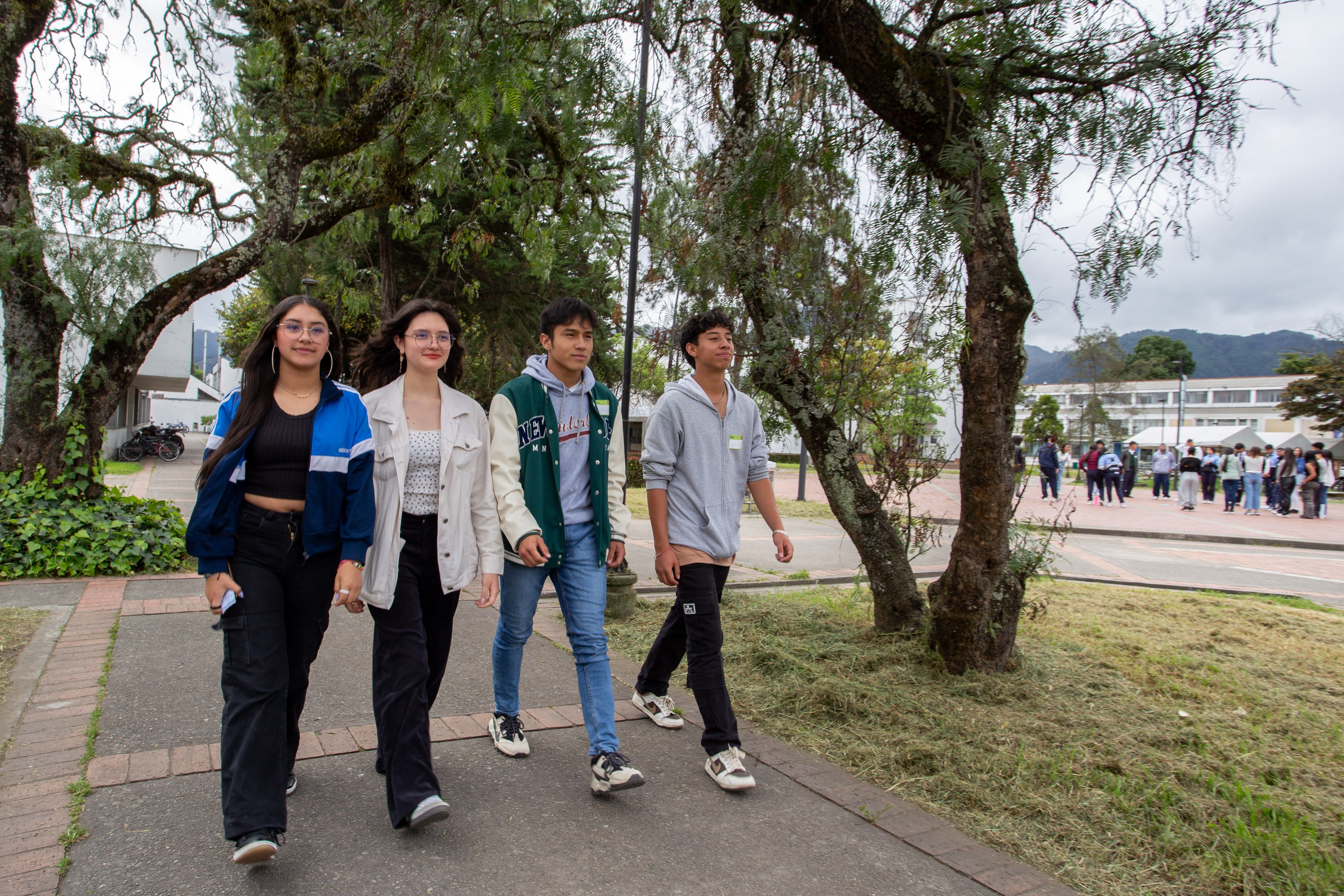 Educación superior alcaldía de bogota