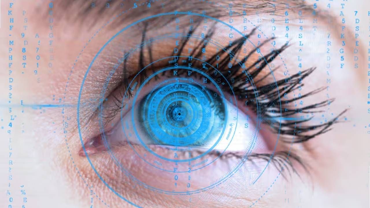 Iris