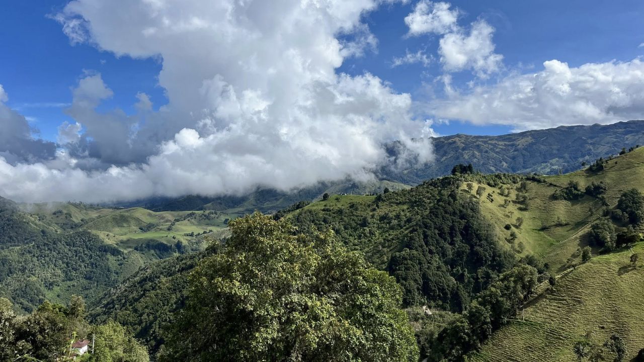 Murillo, Tolima 8