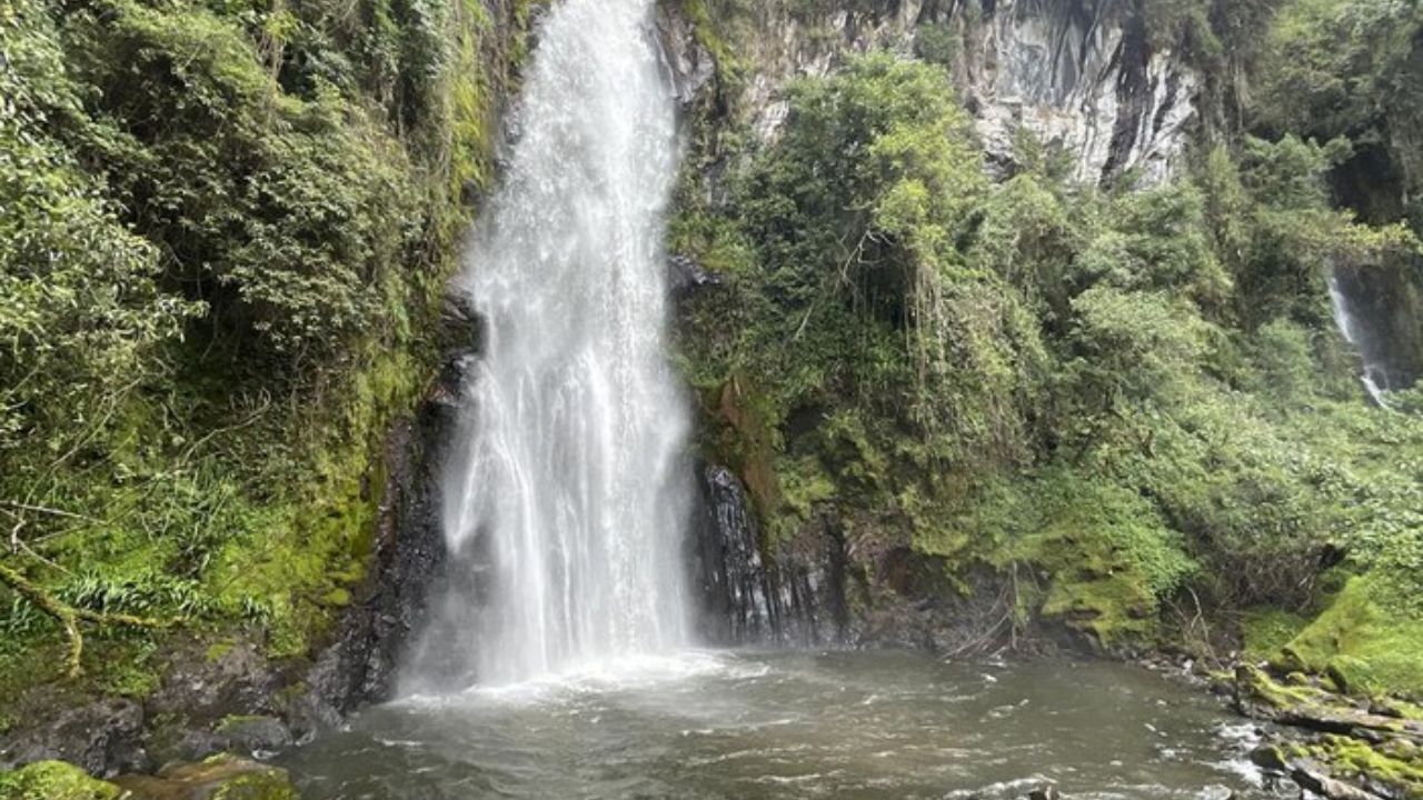 Murillo, Tolima 2