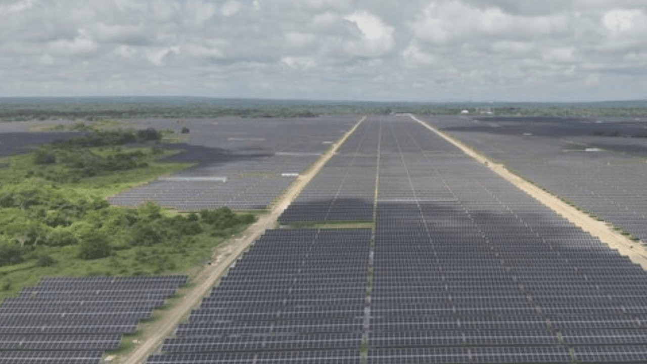 Paneles solares