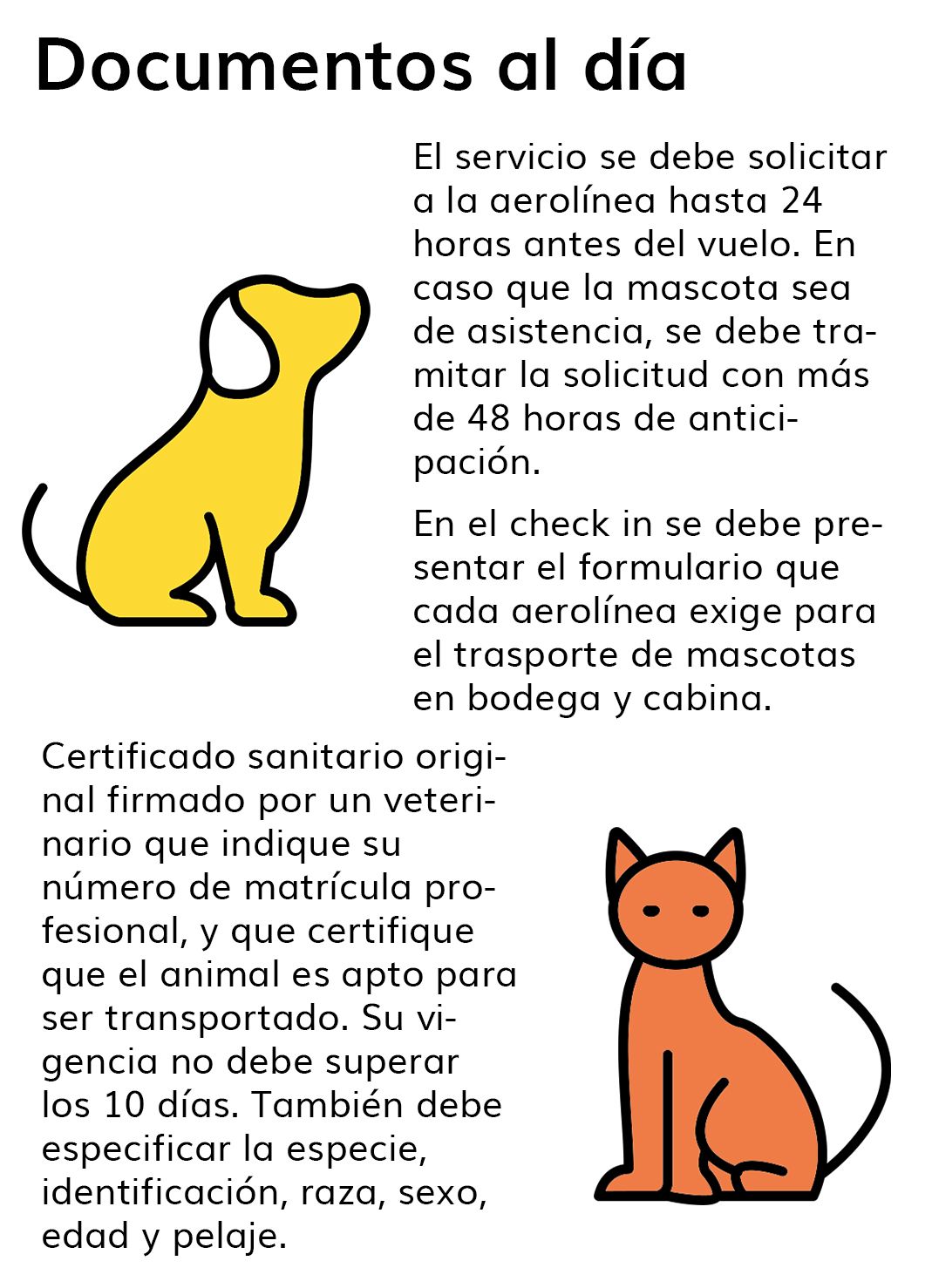 mascota1.jpg