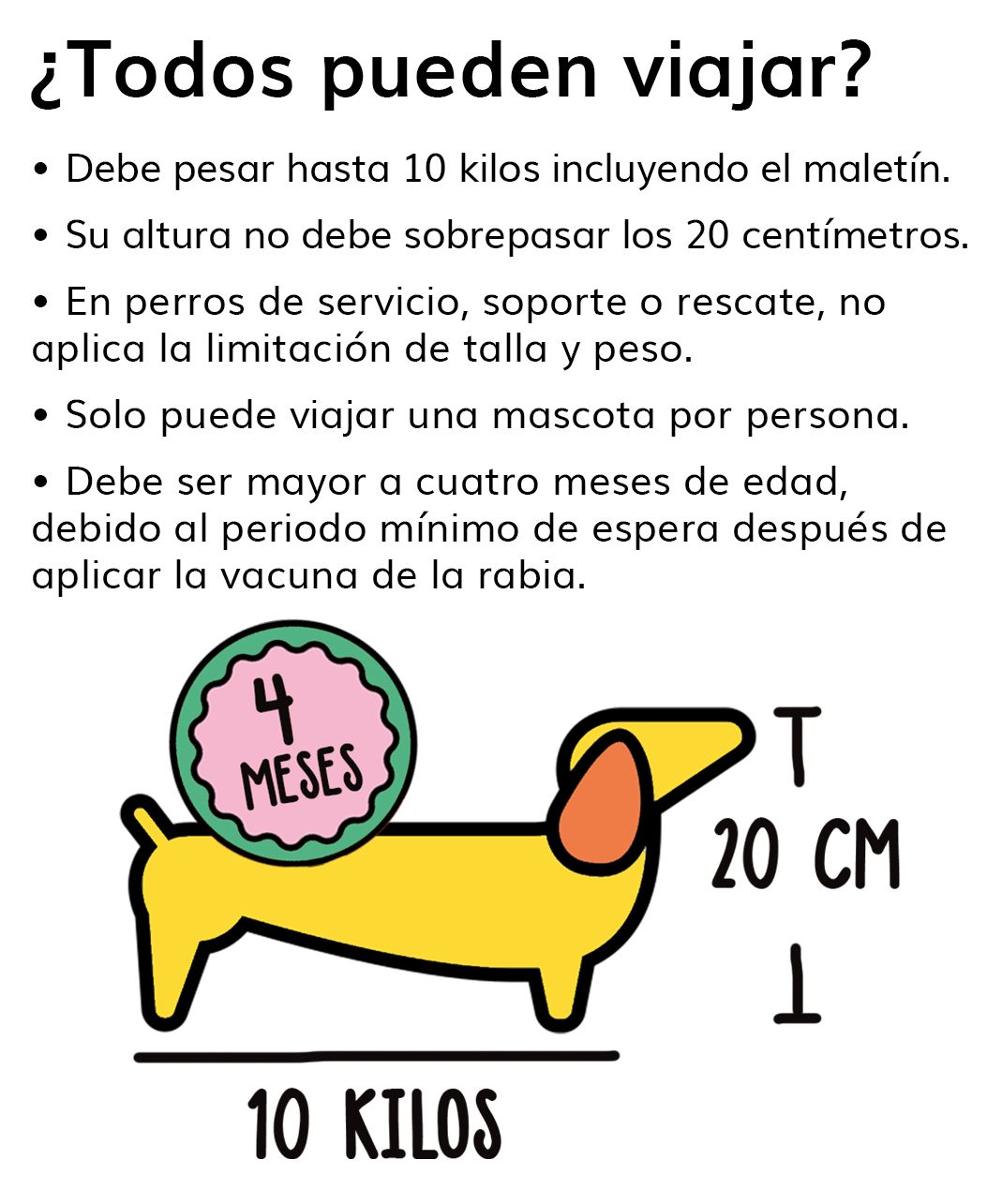 mascota3.jpg