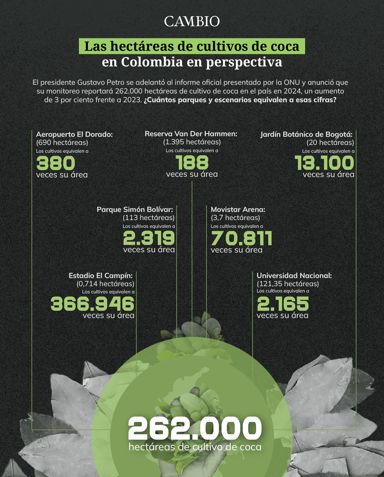 Infografia coca 2025 Colombia