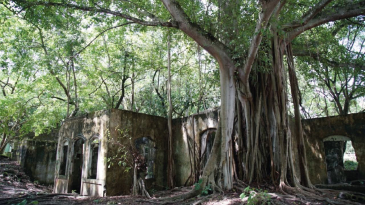 Ruinas de Armero 3