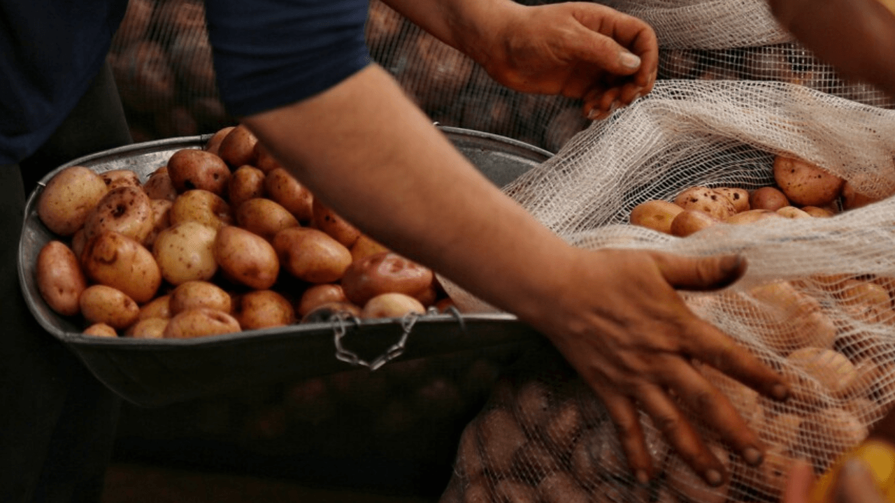 Foro Alimentación y Nutrición CAMBIO
