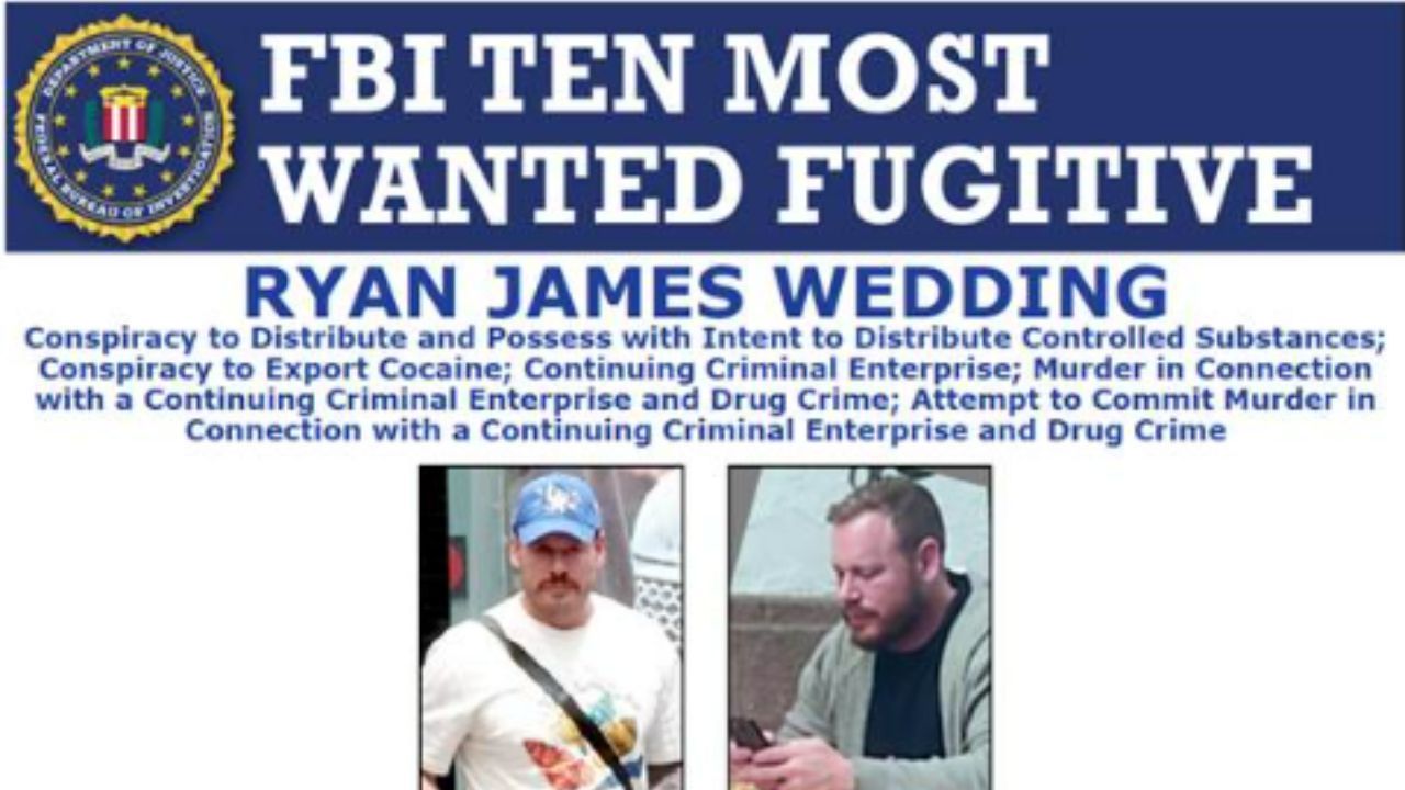 Ryan Wedding 4