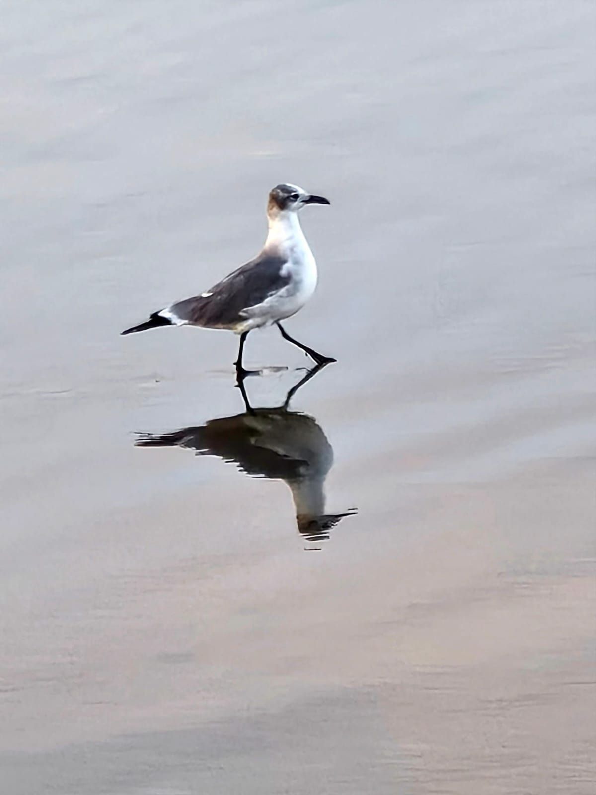 Foto tomada durante la Fotomaratón de Puerto Colombia.