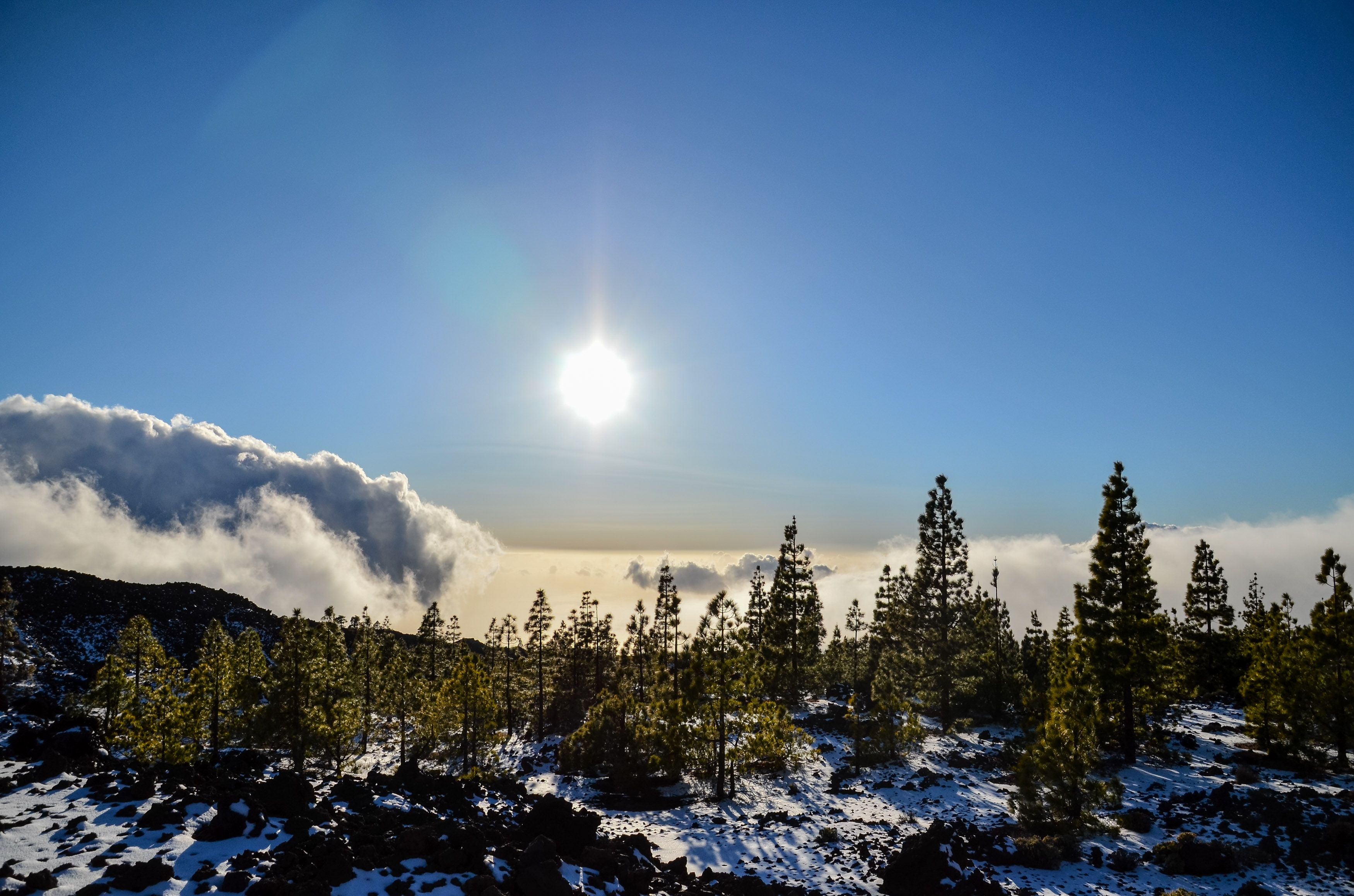 paisaje invierno