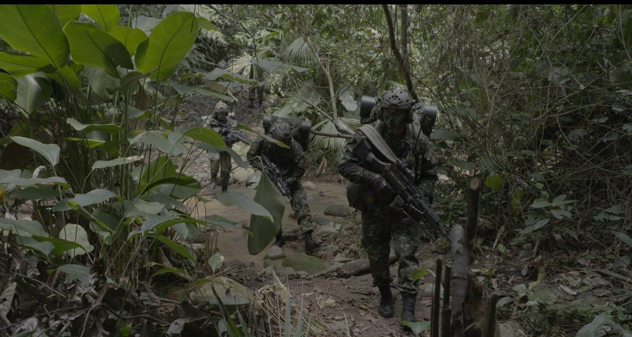 arauca farc