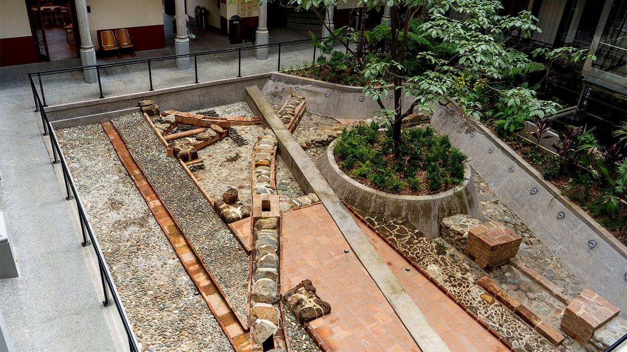 Patio trasero, guayacán y vestigios del primer acueducto de Medellín.