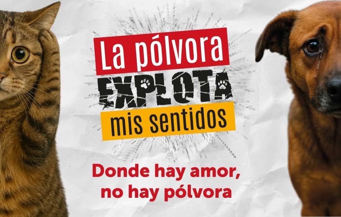 Con un tono emocional y educativo, la campaña pone en el centro a quienes no pueden hablar, pero sí sienten.