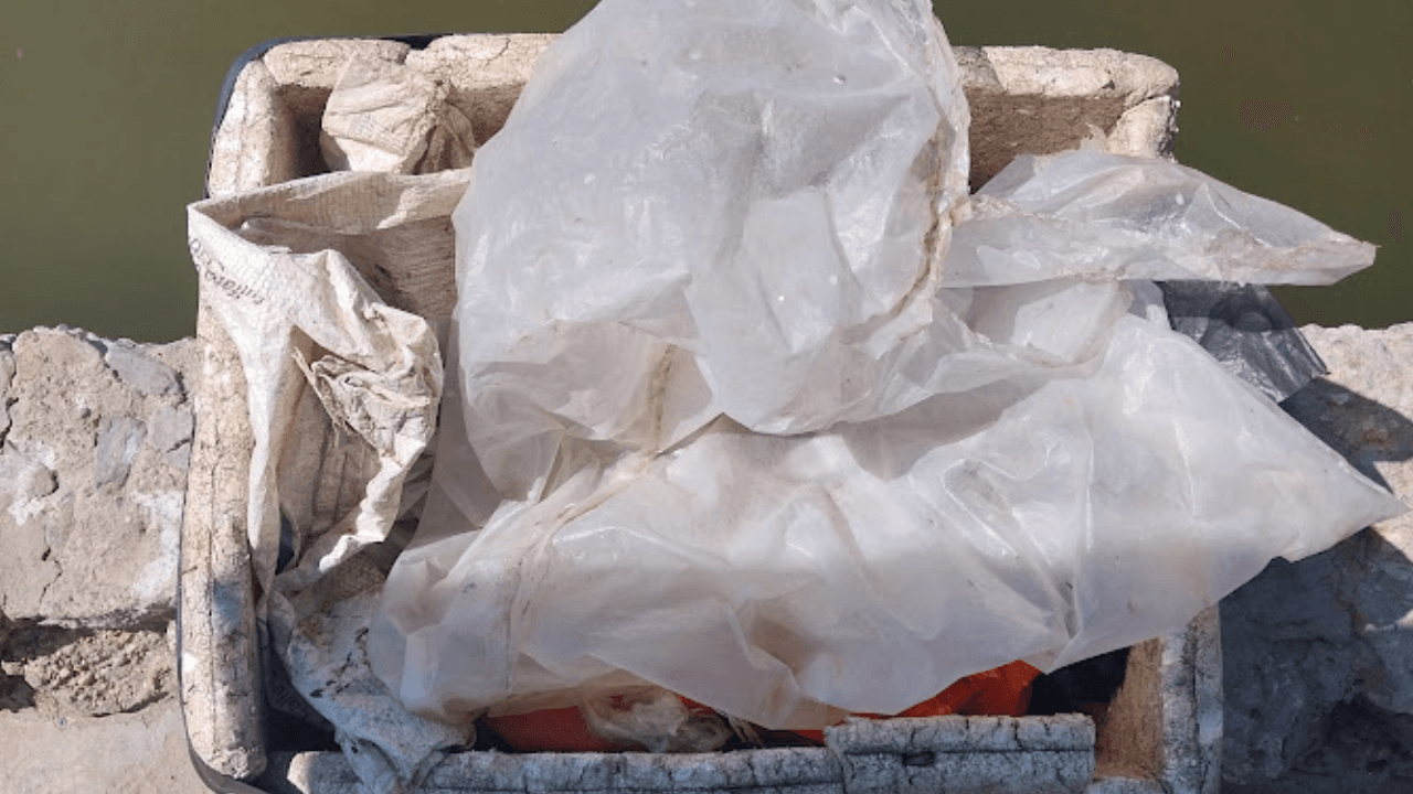 Nevera donde los pescadores conservan el pascado
