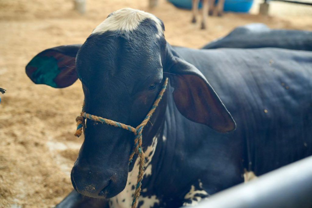 AgroBolívar interna