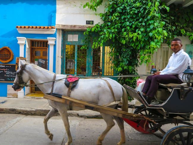 Foto de un tradicional coche, en las calles históricas de Cartagena. Foto Alcaldía de Cartagena.