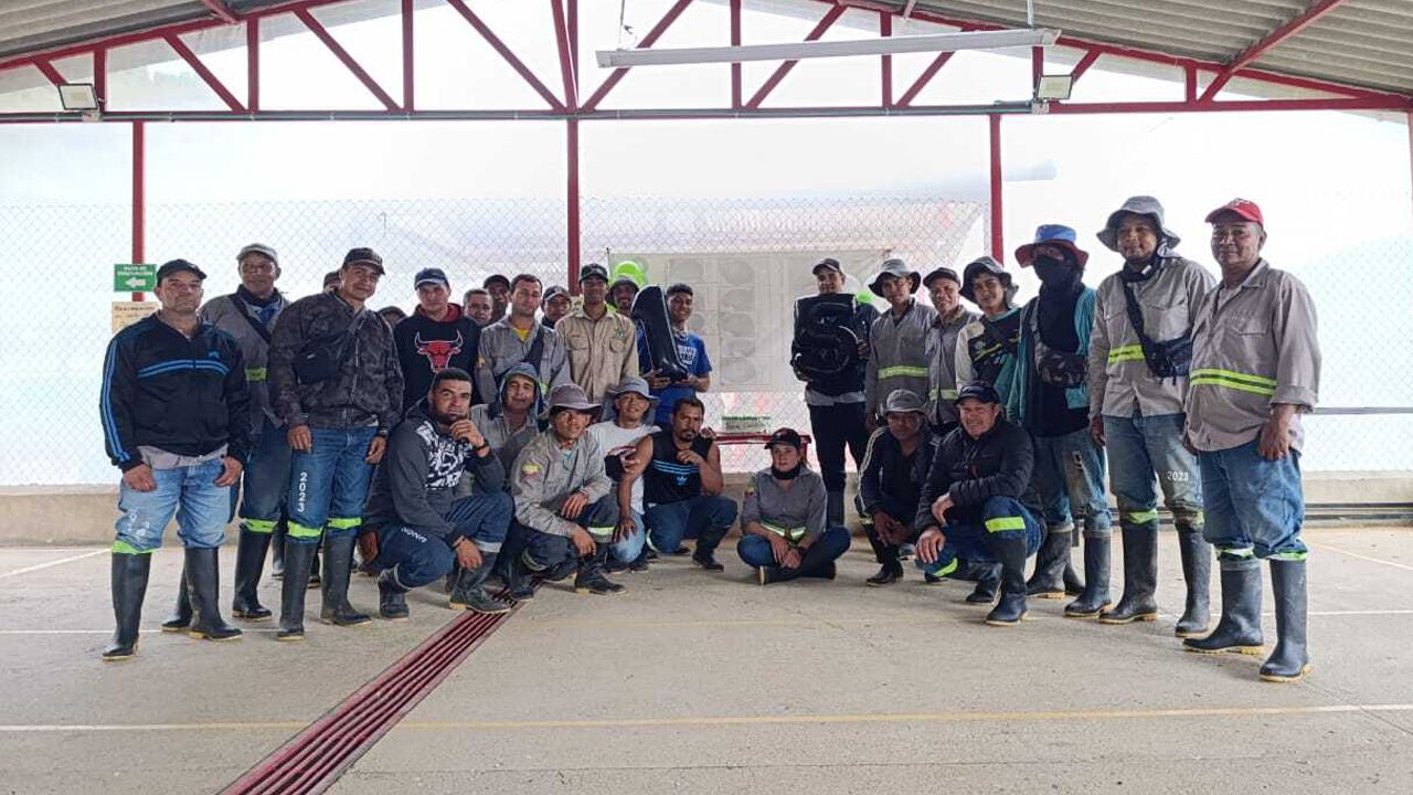 Trabajadores Reforesta