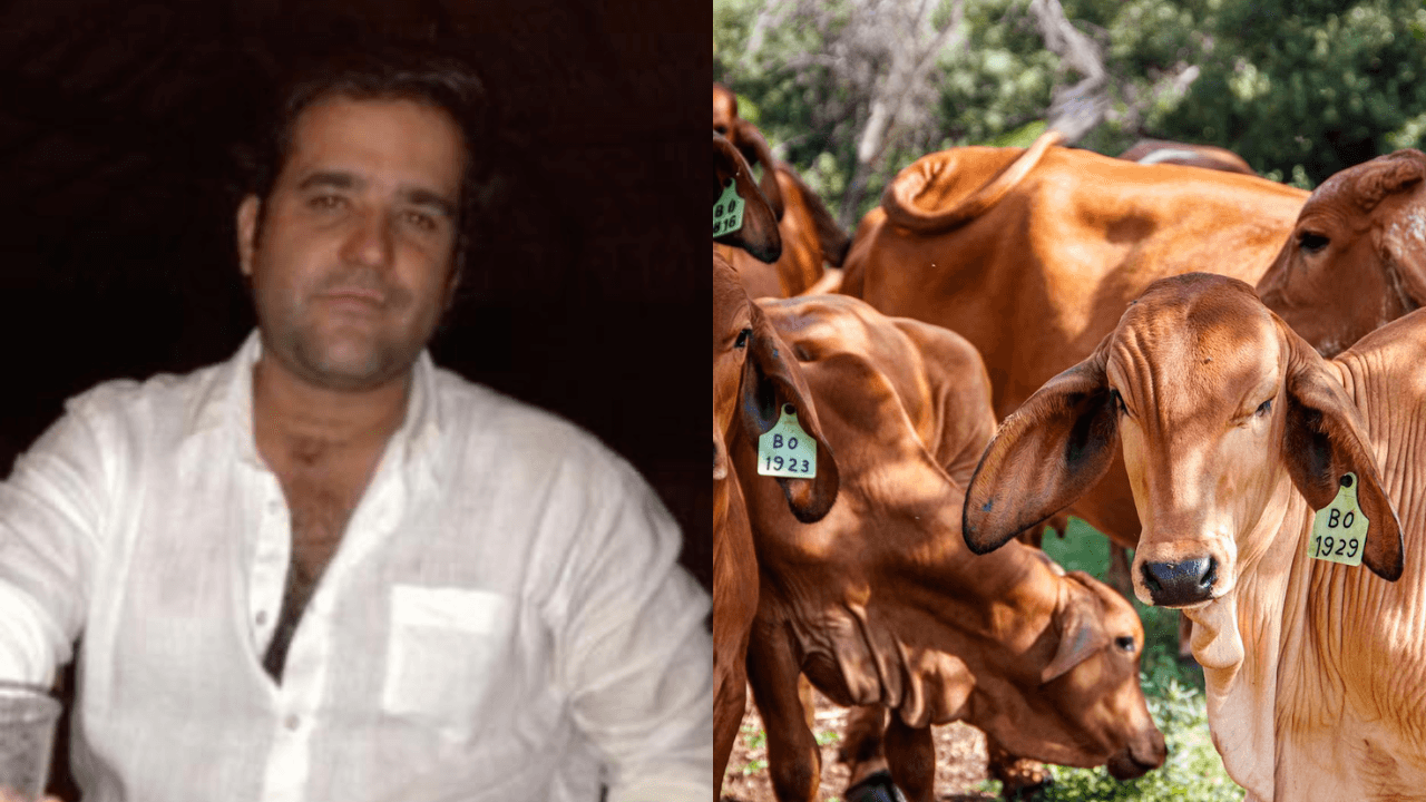 photologuephotos2024-07felipe_rocha_0png