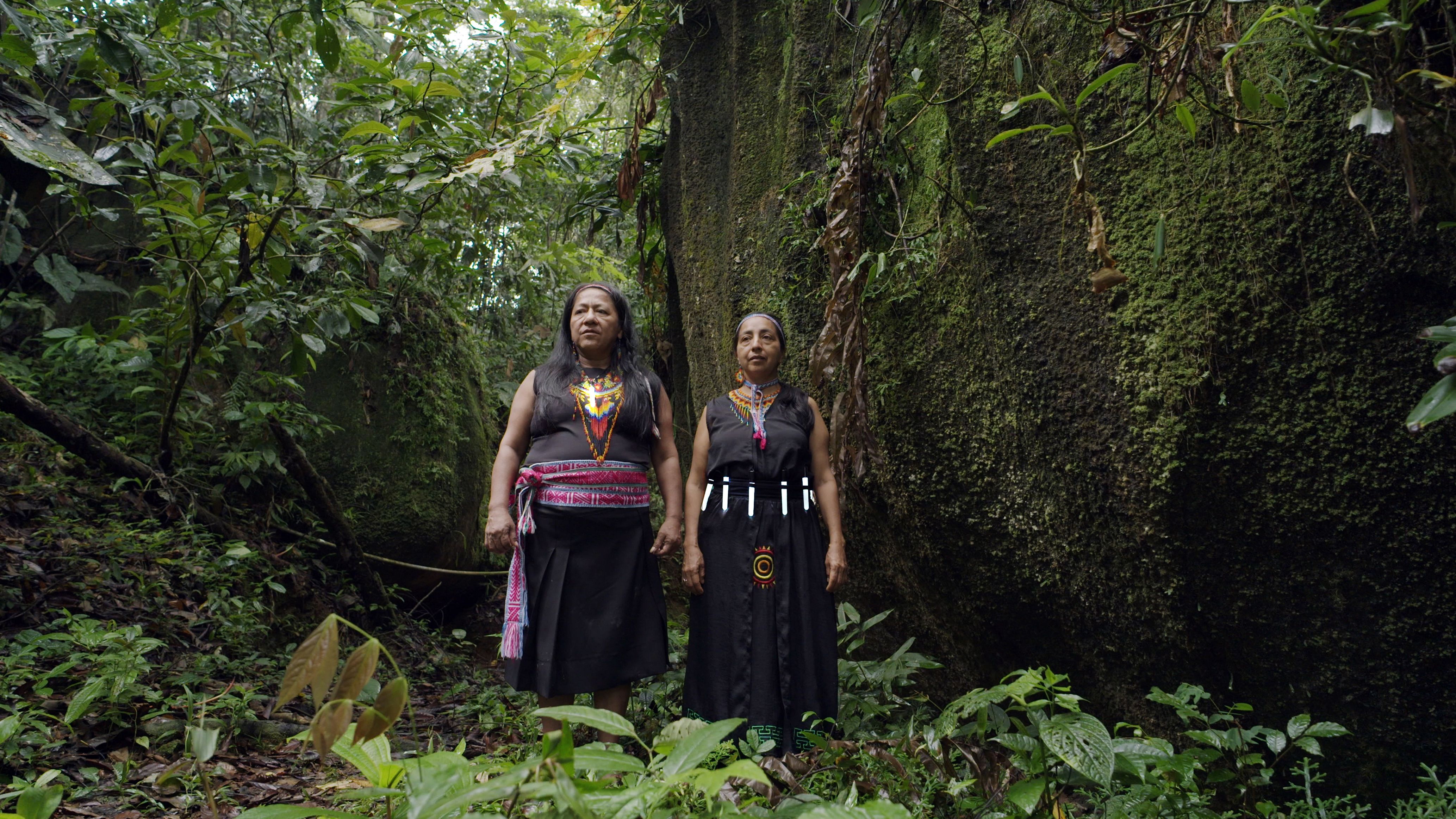 forest_mind_waira_jacanamijoy_y_flora_macas_3.jpg
