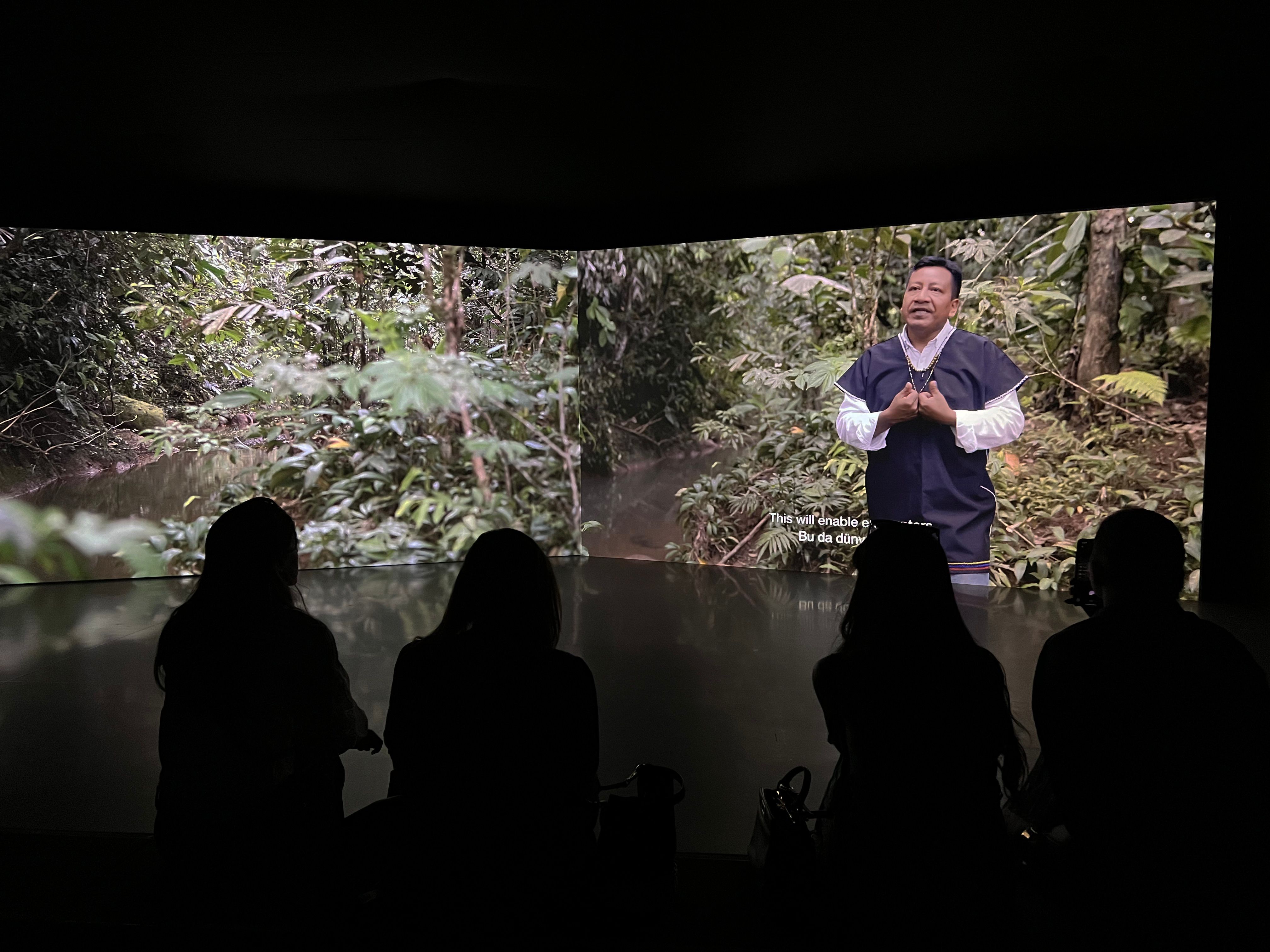 forest_mind_instalacion_6.jpeg