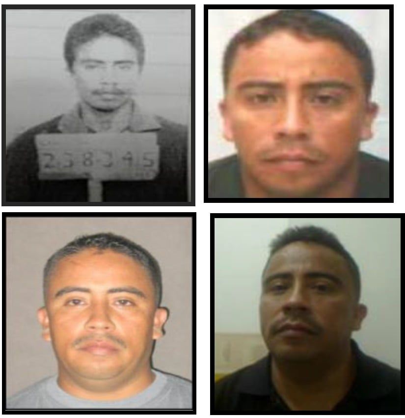 Alias Gonzalito Clan del Golfo