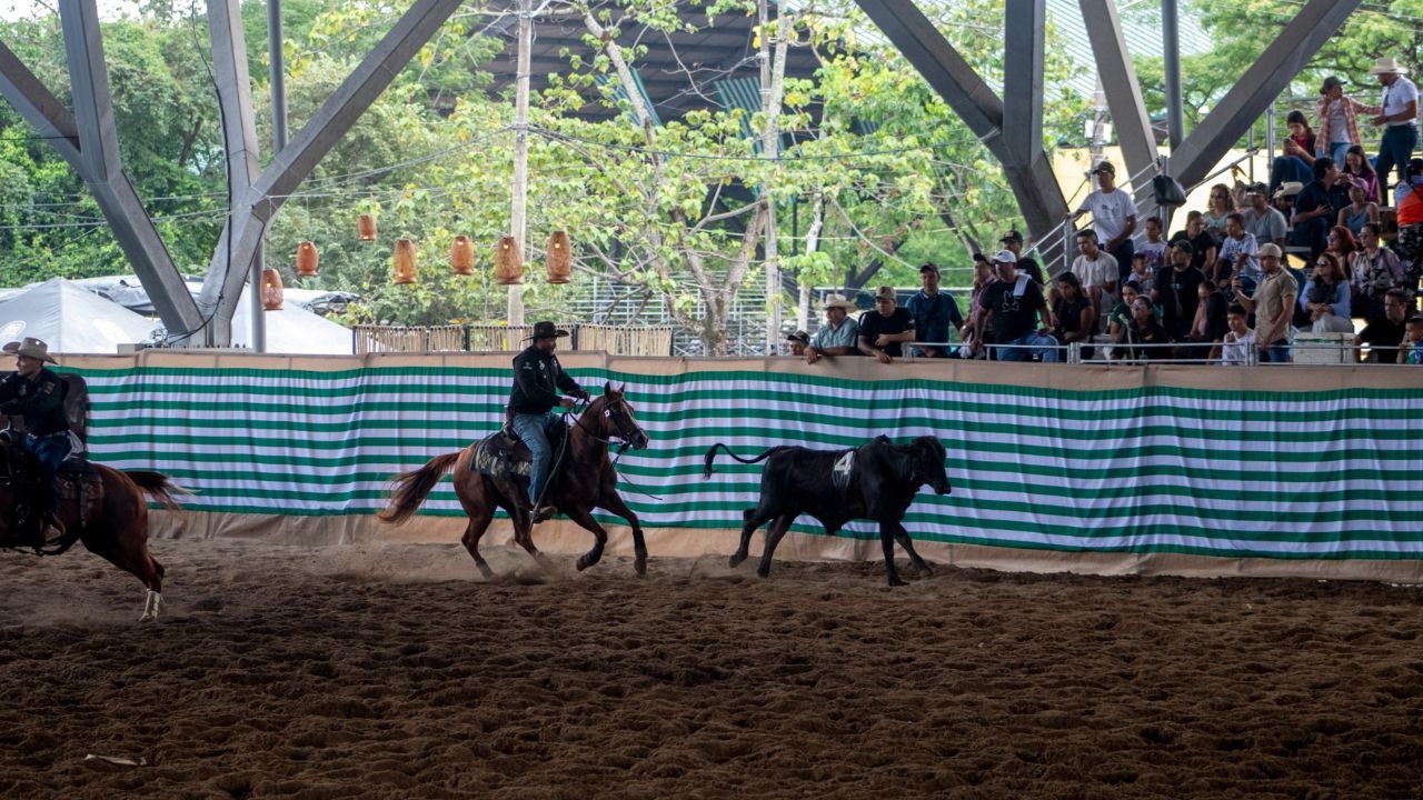 Expomalocas balance 44