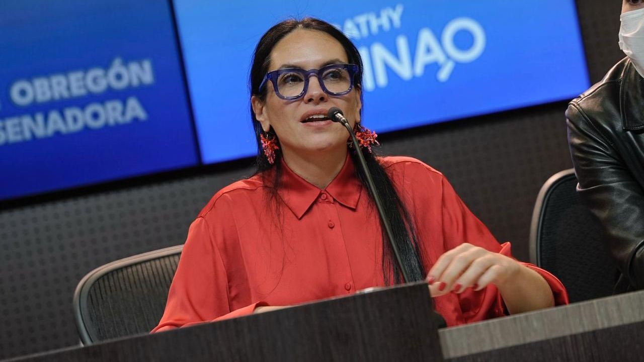 Representante María del Mar Pizarro