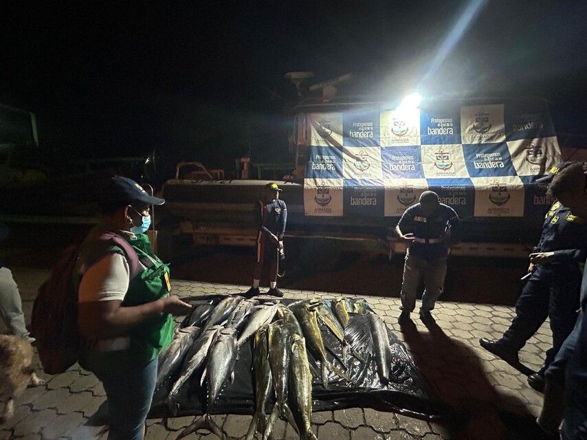 Pesca 4