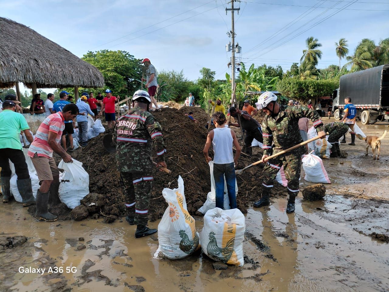 Ayuda humanitaria