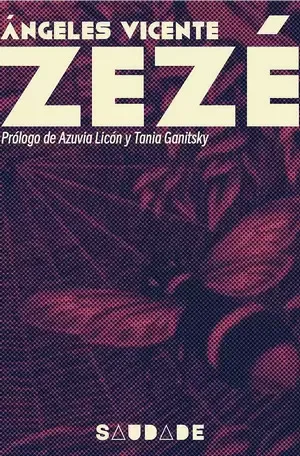 Novela titulada Zezé