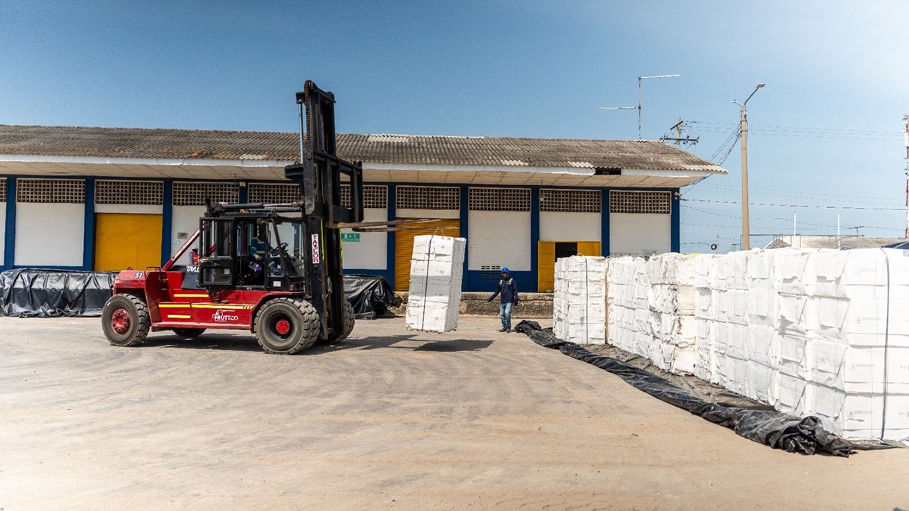 Trenes transporte carga