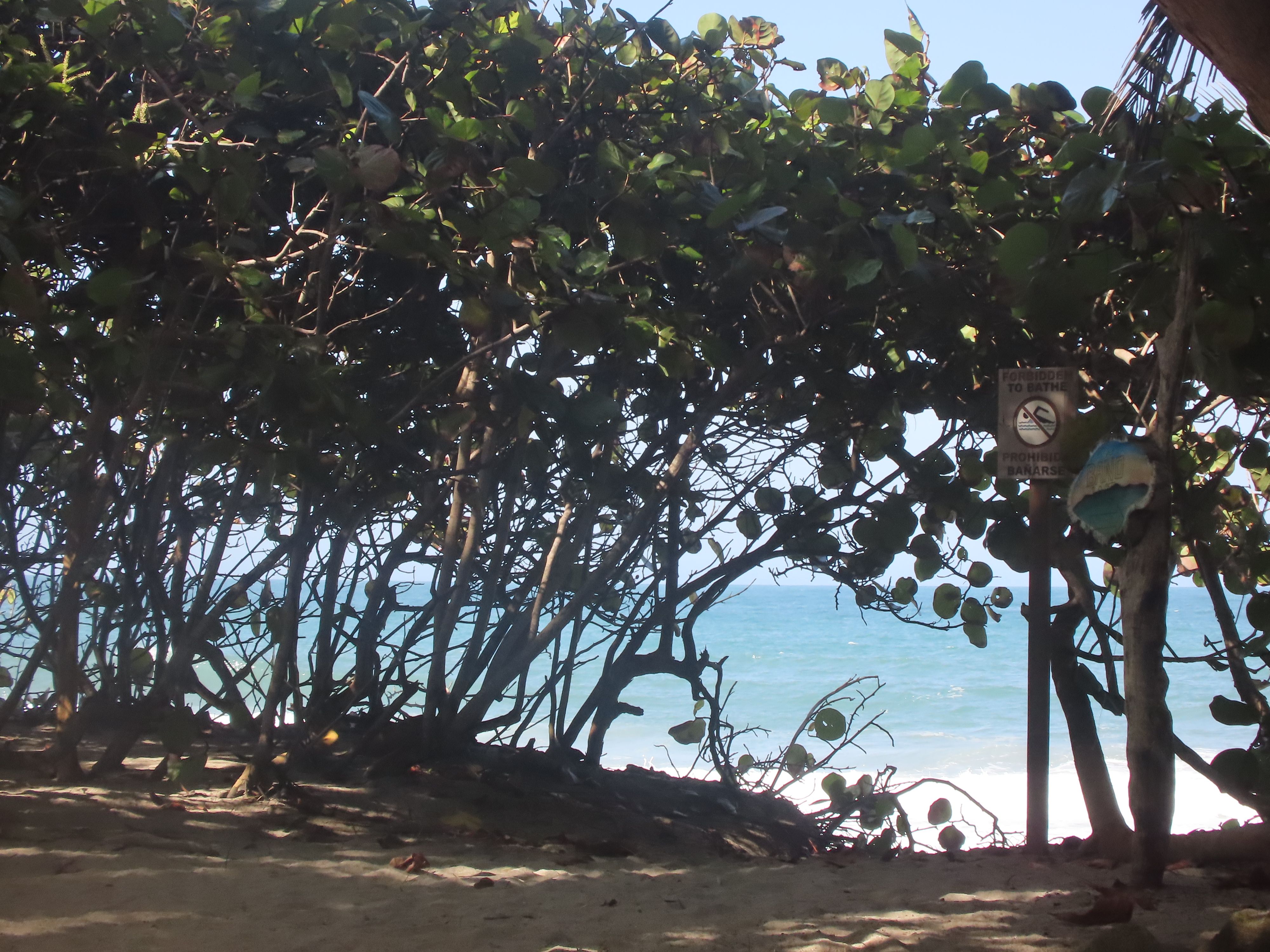 Playa Los Ángeles