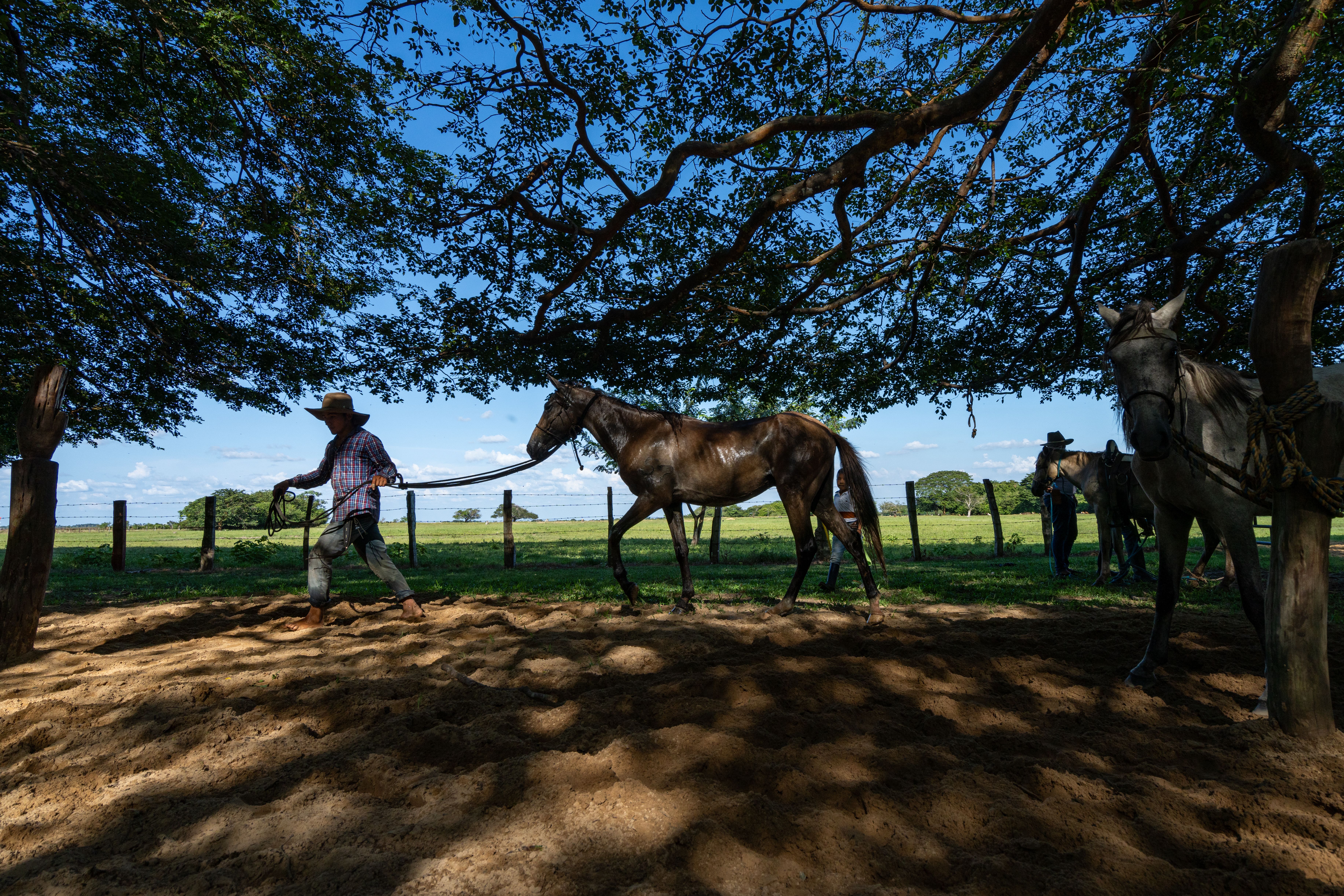 Agroecología en Casanare
