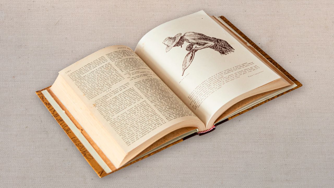 Libro raro de la colección