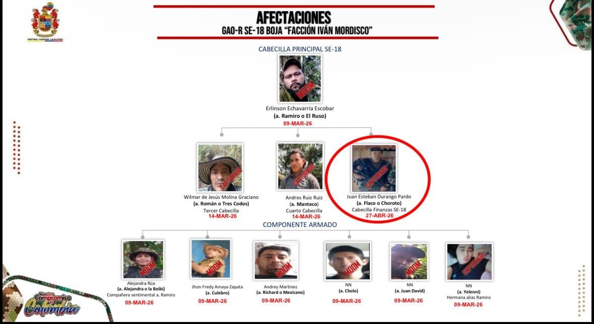 organigrama