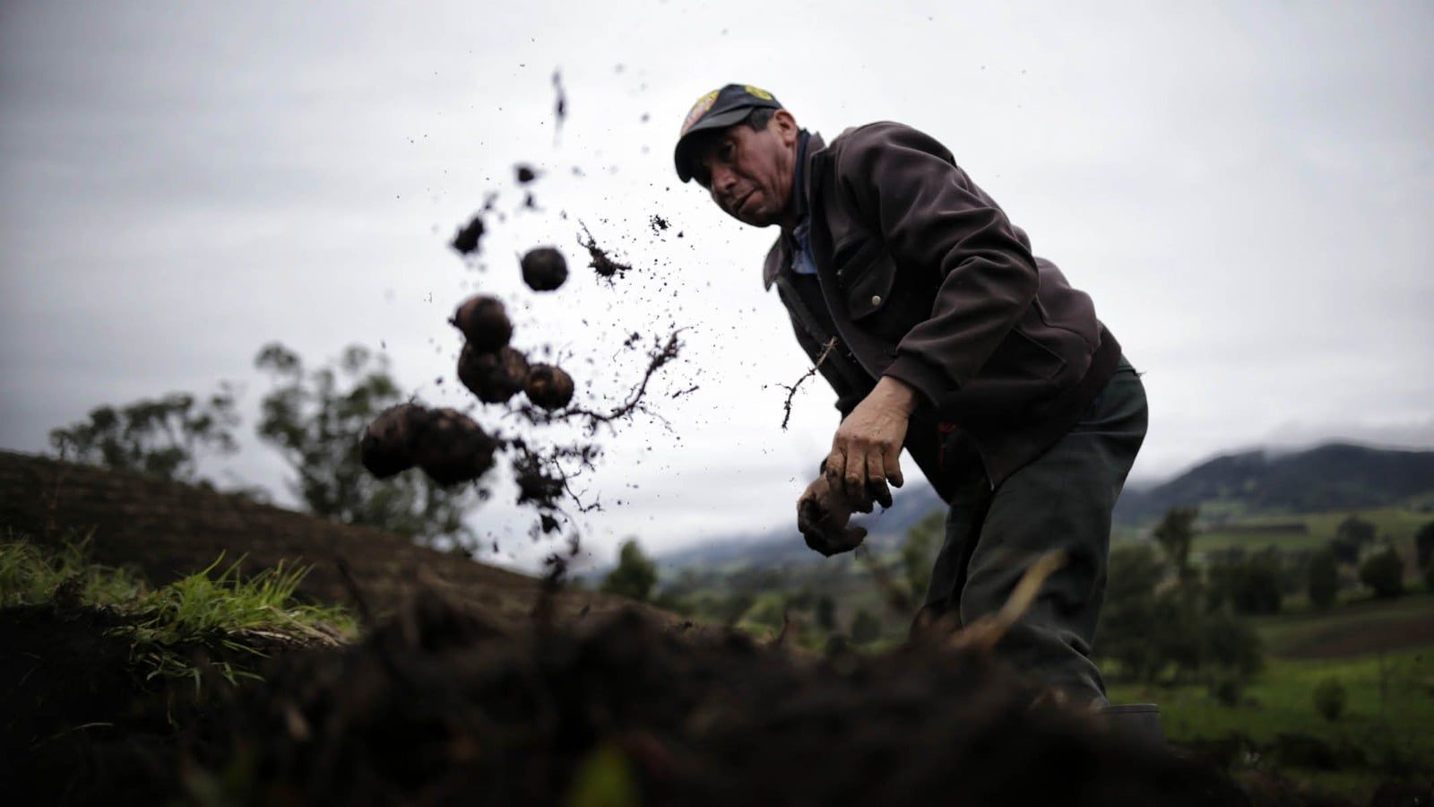 campesino Colprensa