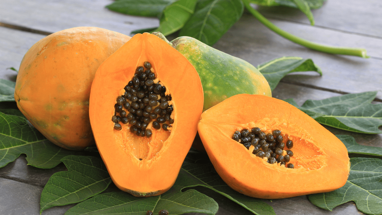 papaya 2