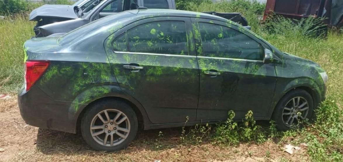 carro caso 2